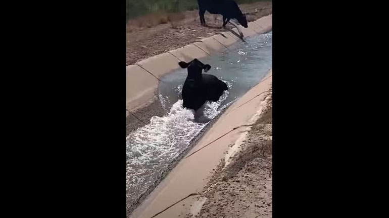 «Ας δροσιστούμε λίγο»